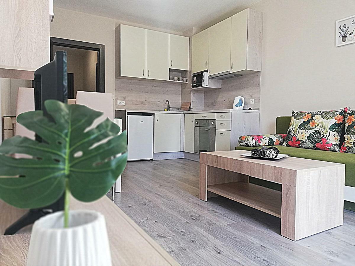 Apartment Ilarion 5 At Center